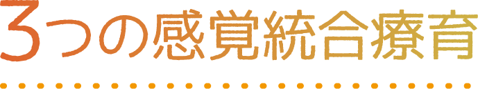 3つの感覚統合療育